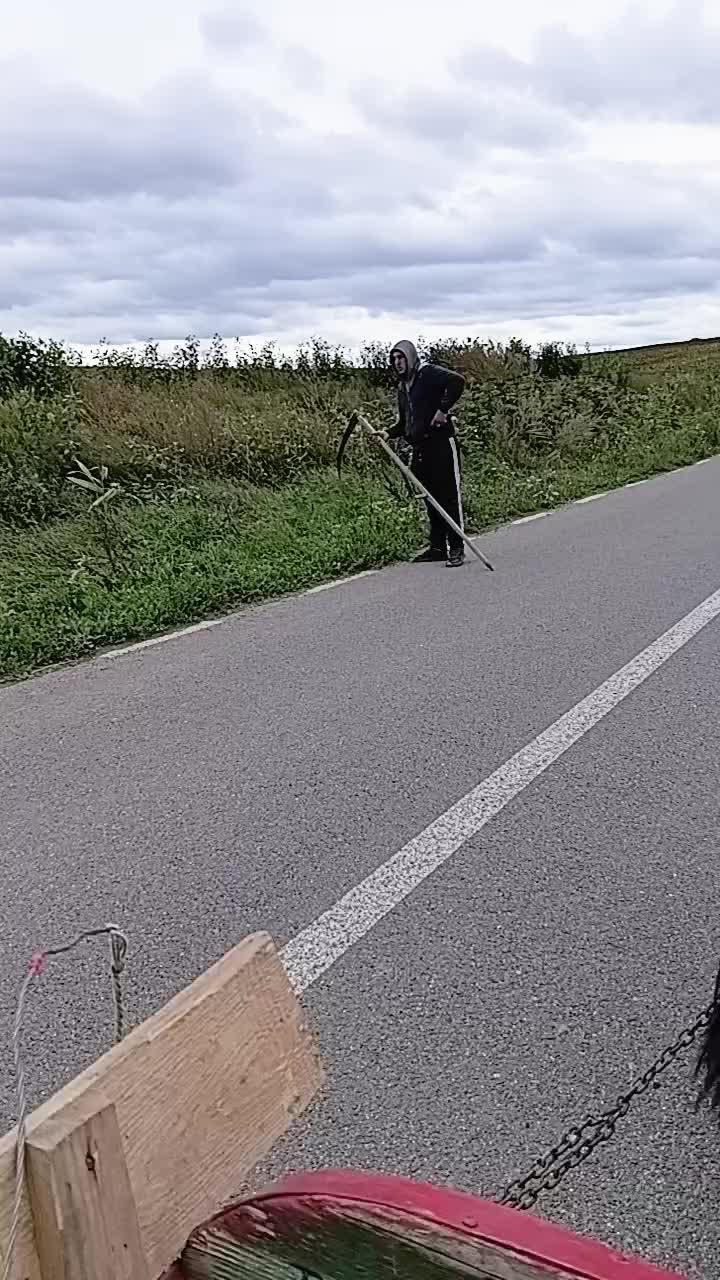 @regele nr 1