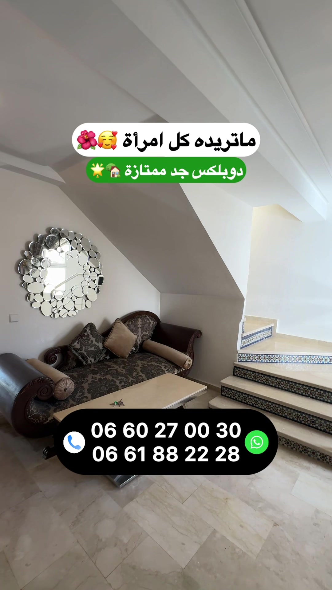 @Zakaria Haddad 🇲🇦🇵🇸