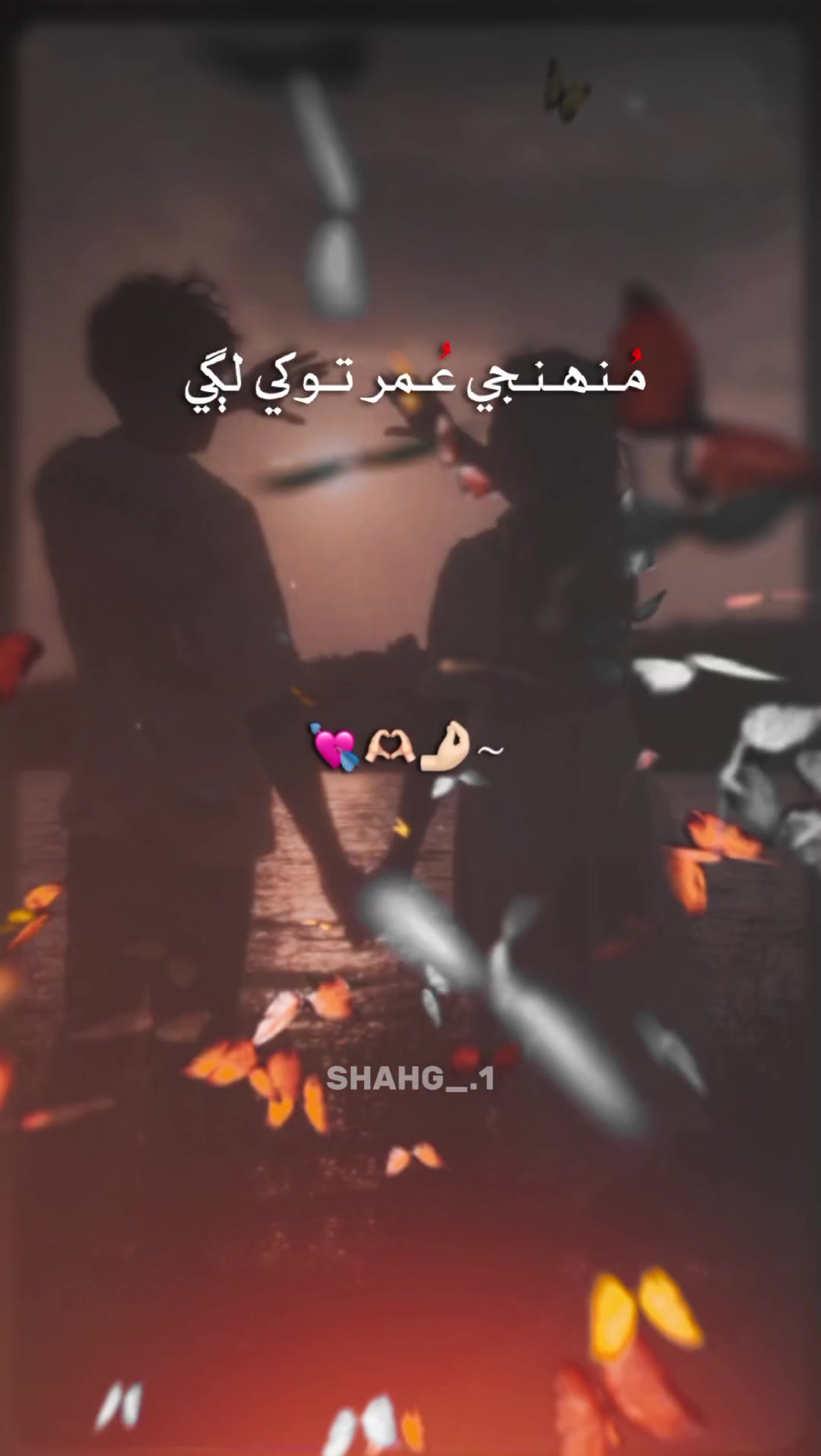 @𝐒𝐇𝐈𝐅𝐅𝐀 𝐀𝐇𝐈𝐘𝐀𝐍🎀