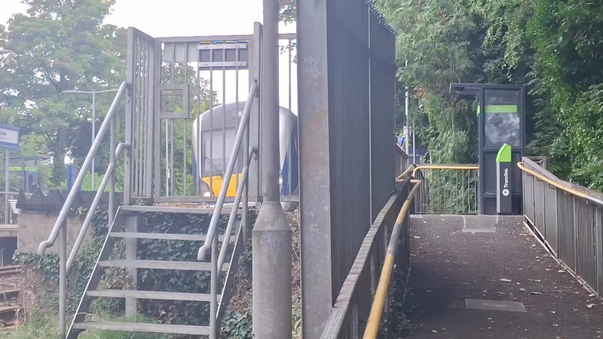 @level trains