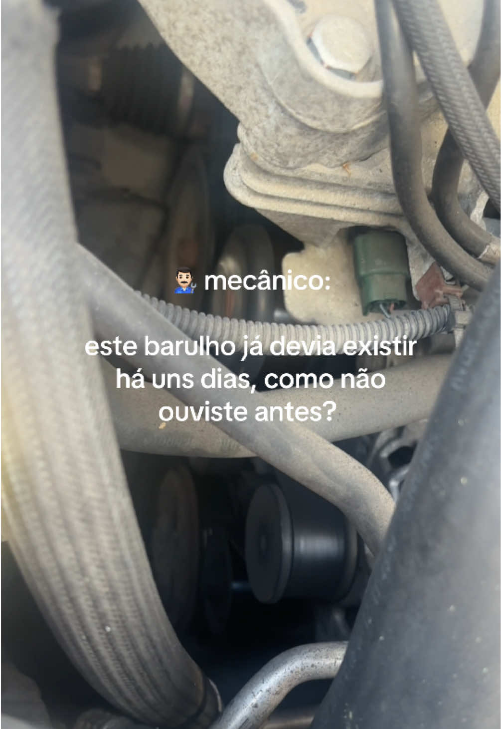 @Soy Bianca