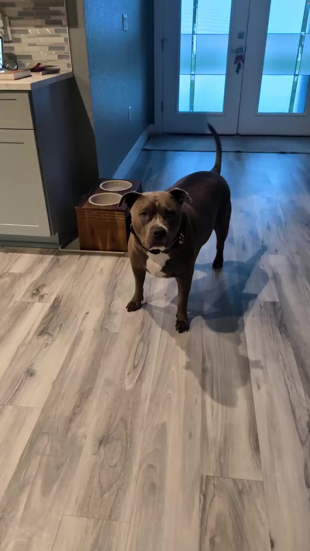 @Ranjan Rathod