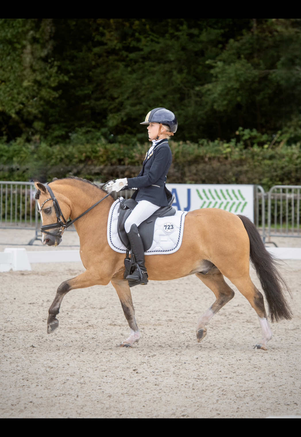 @Anais Super Pony&rsquo;s