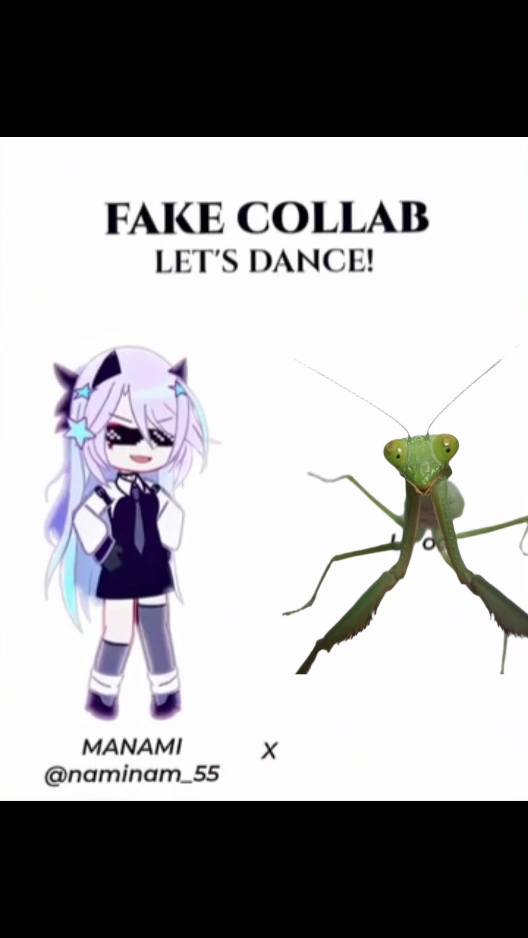 @🪲🐛Rain’s Exotic Pets🦗🐞