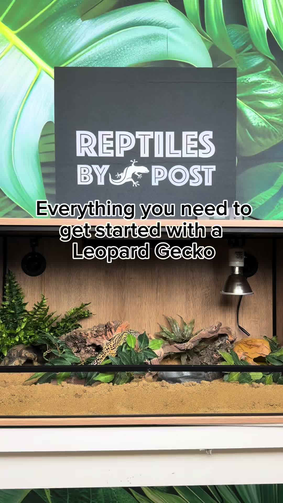 @Reptiles By Post