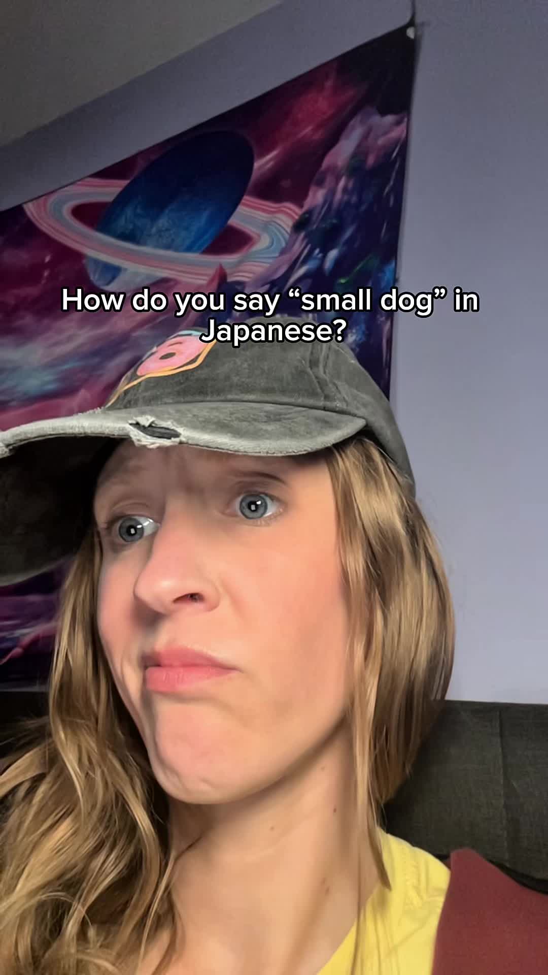 @brittttt.learnsjapanese