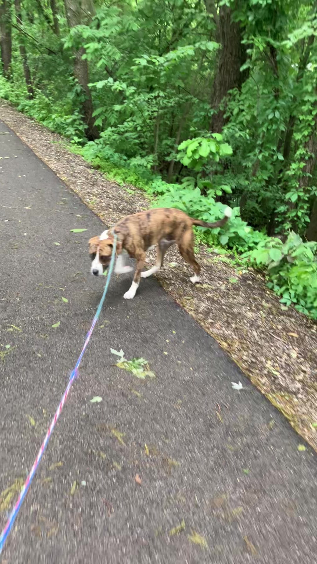 @Hikingwithstanley