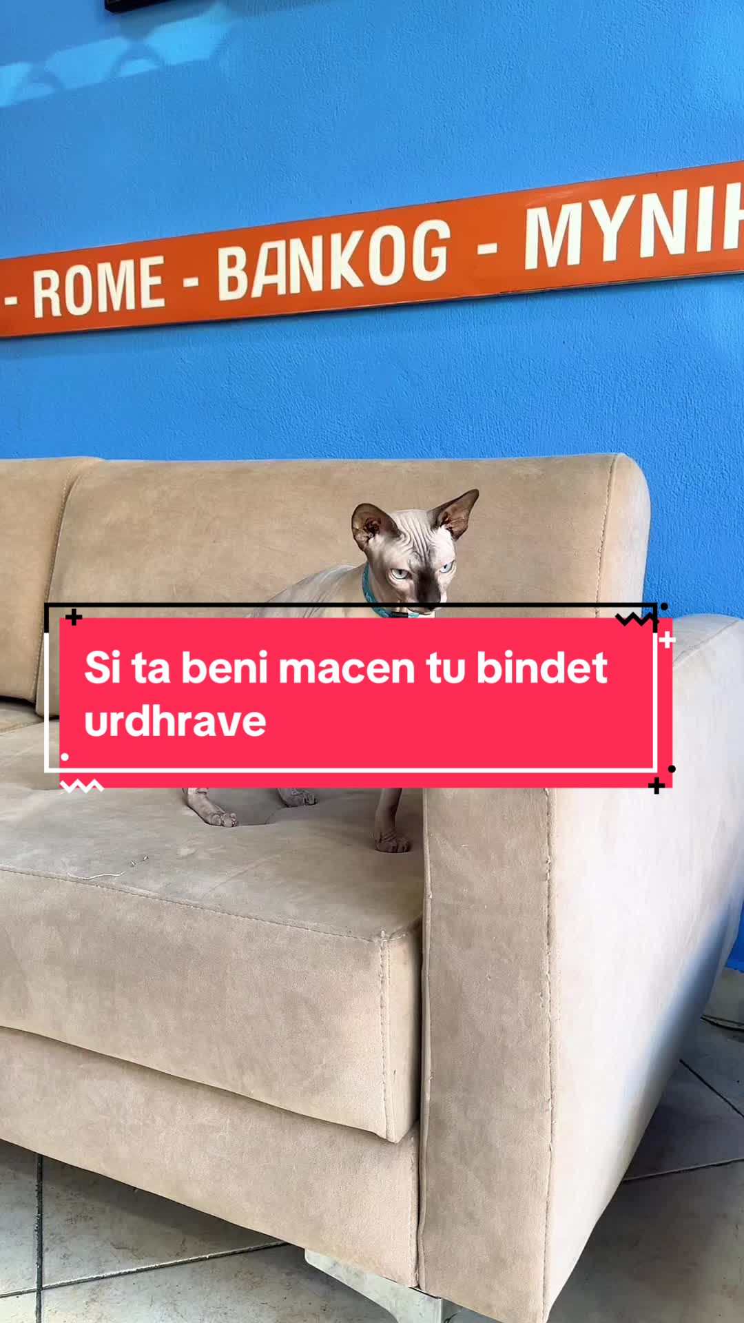 @lord.hugo
