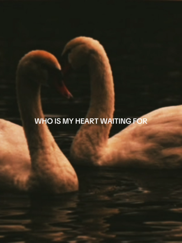 @Kaina⁷