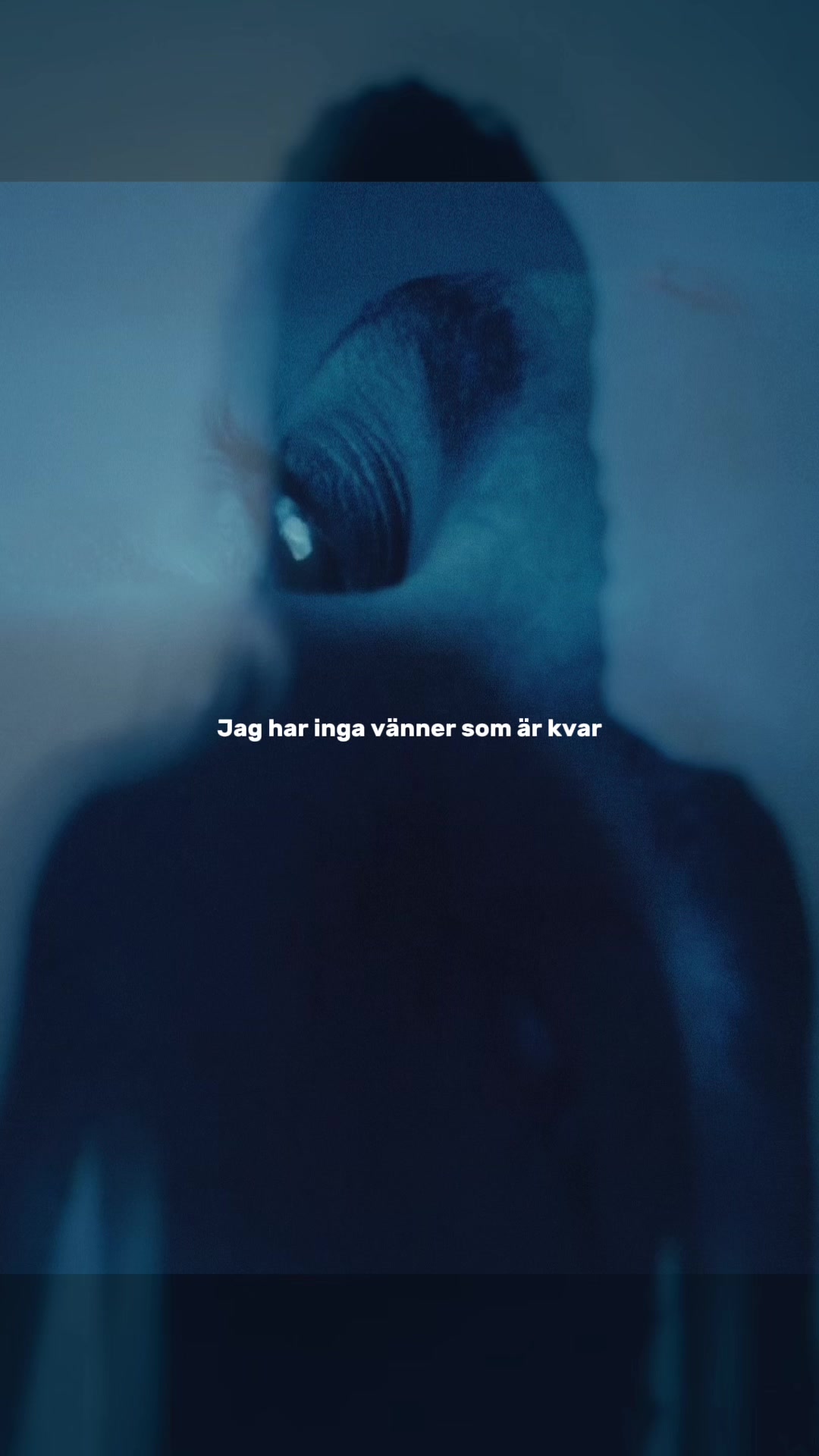 @ShiroArkivet