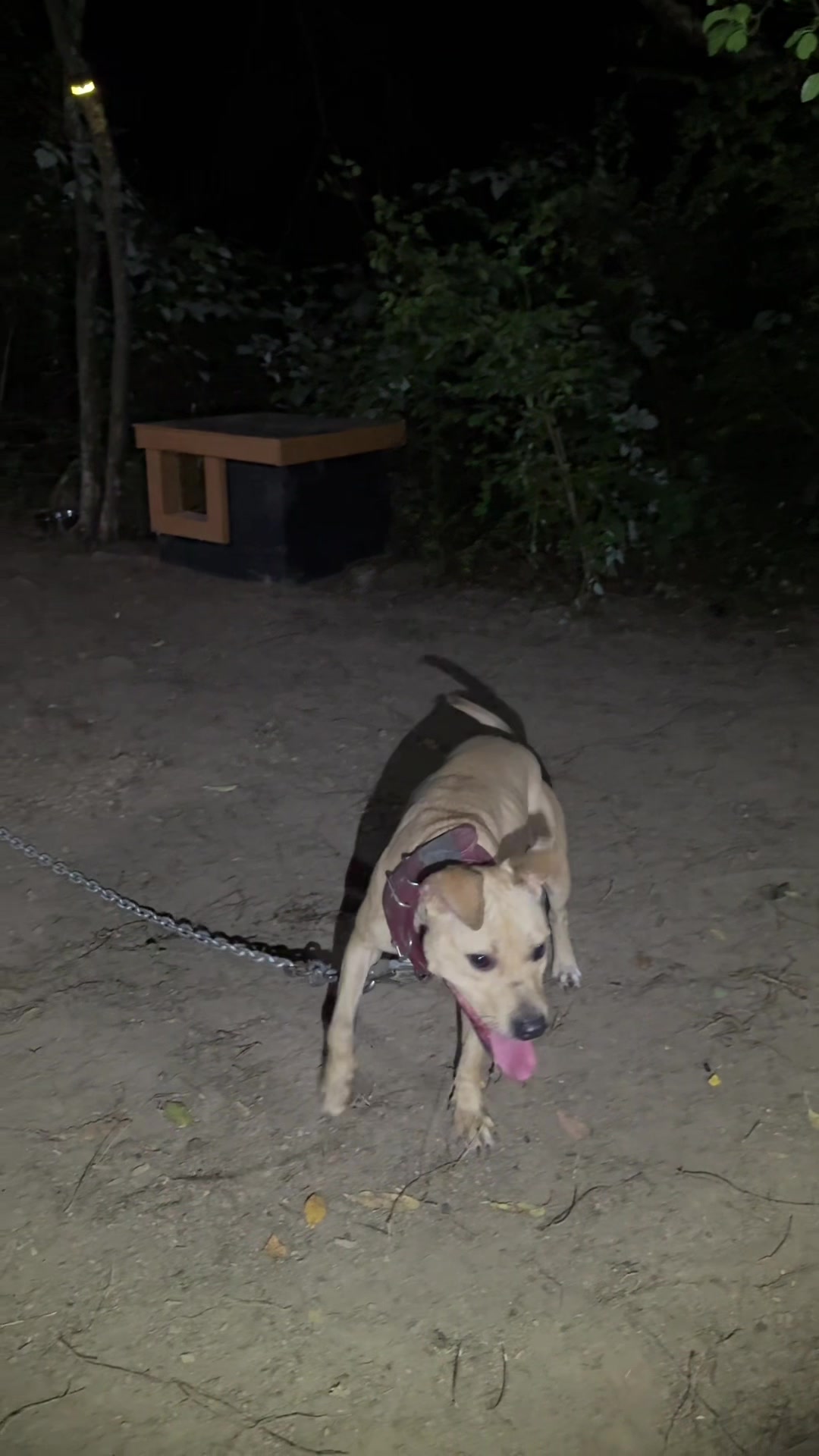 @ConcreteJungle_apbt