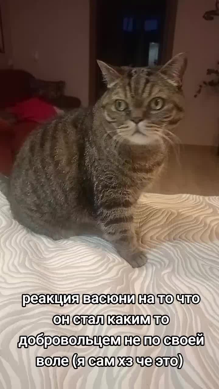 @на аве моя девушка мечты