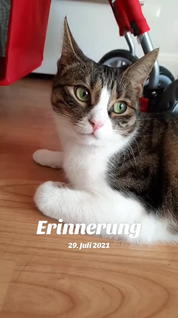 @😸 Alex 😸