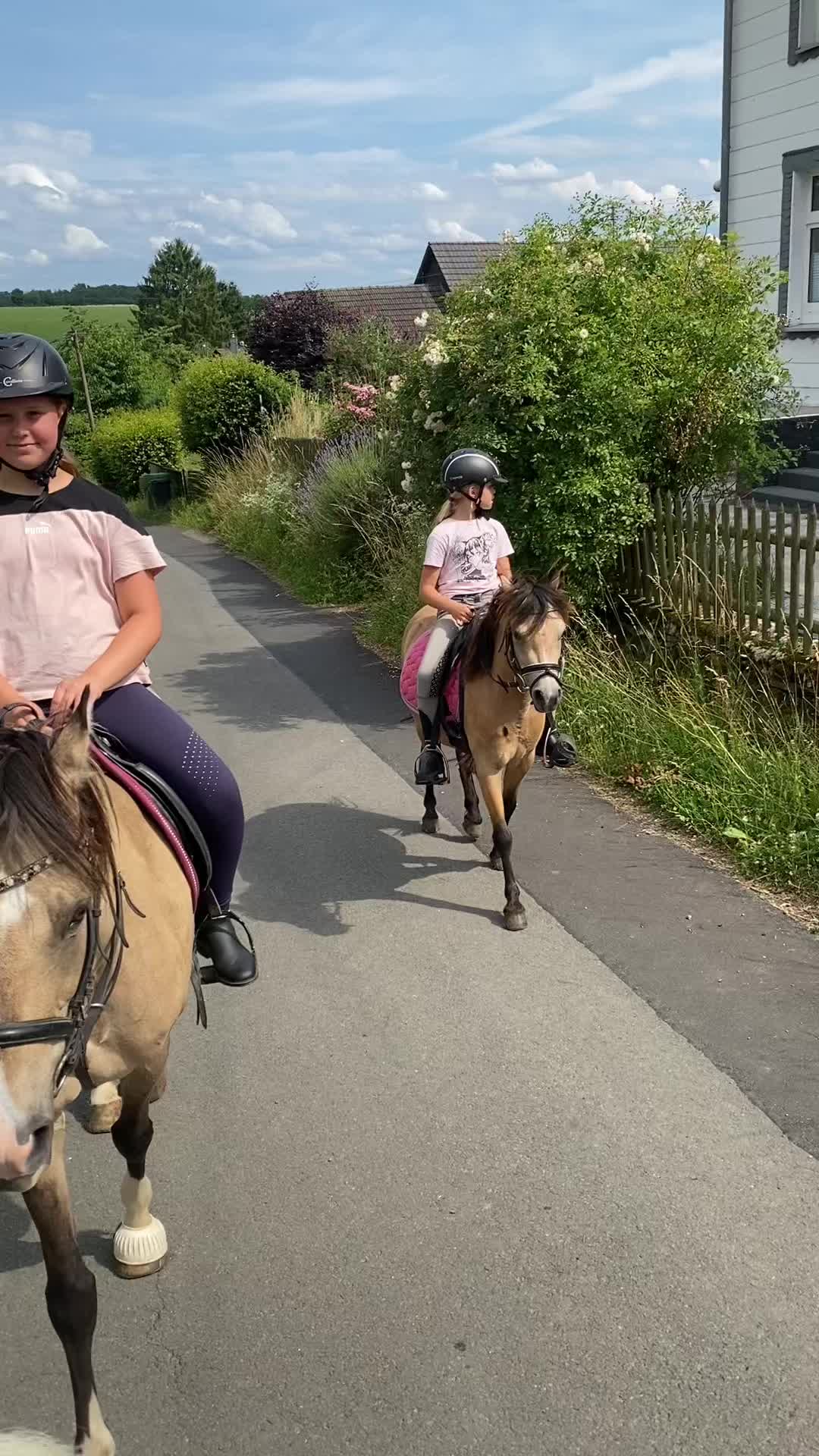 @Sarah and her Ponys and dogs