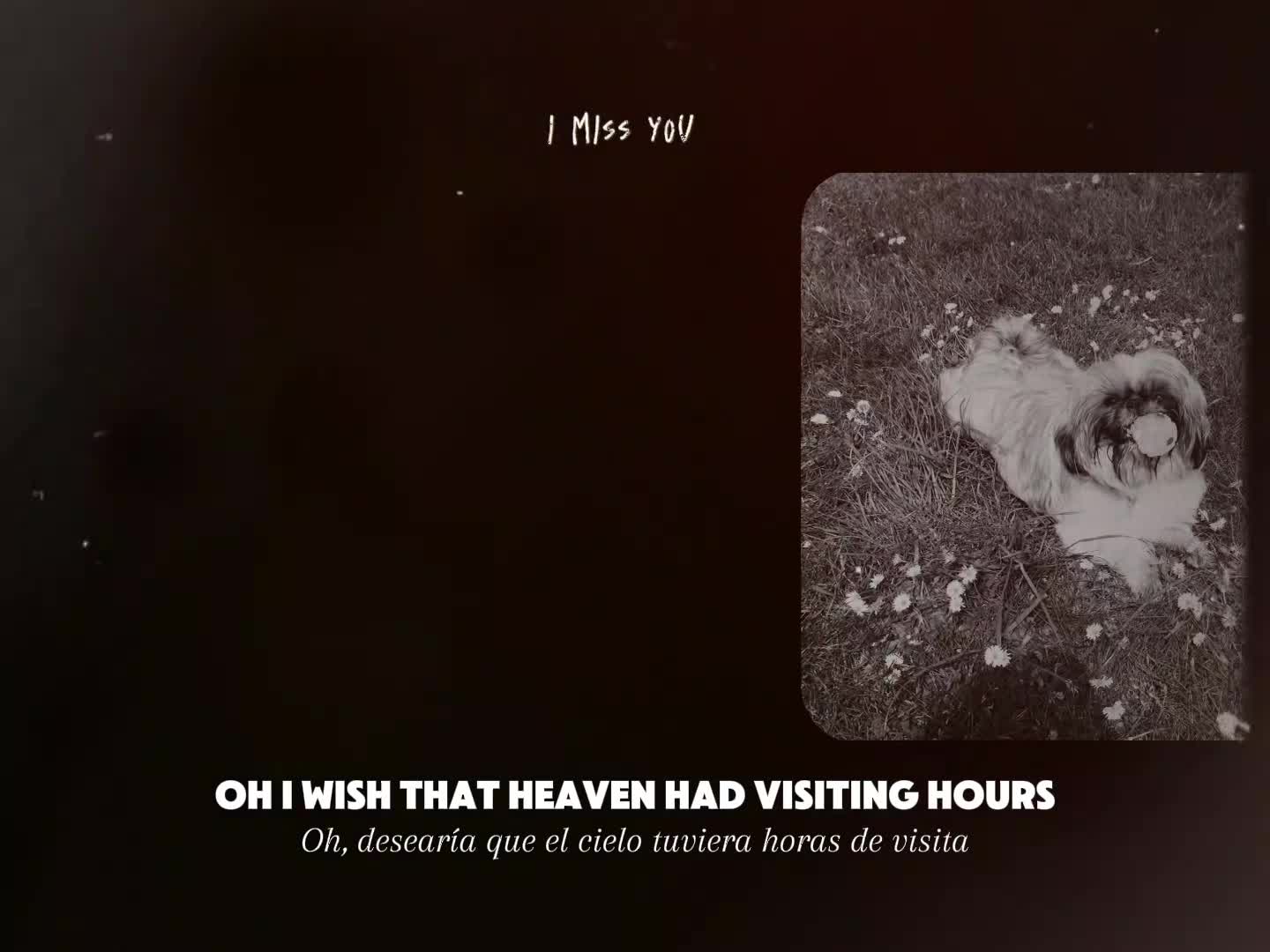 @Nancy Goncalves