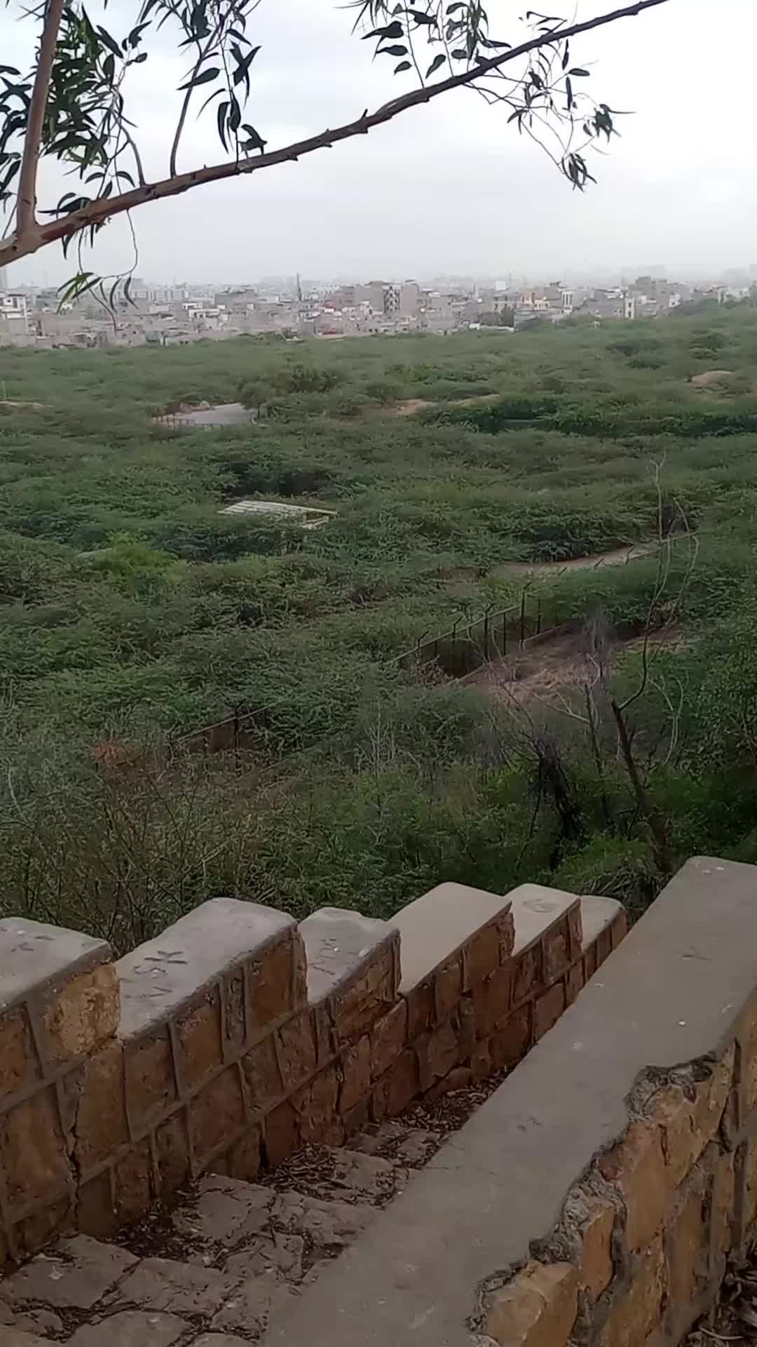 @Haya