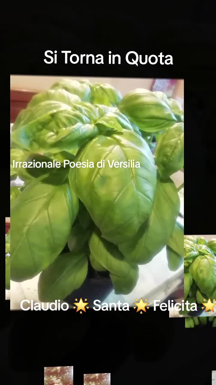 @Claudio Santa Felicita