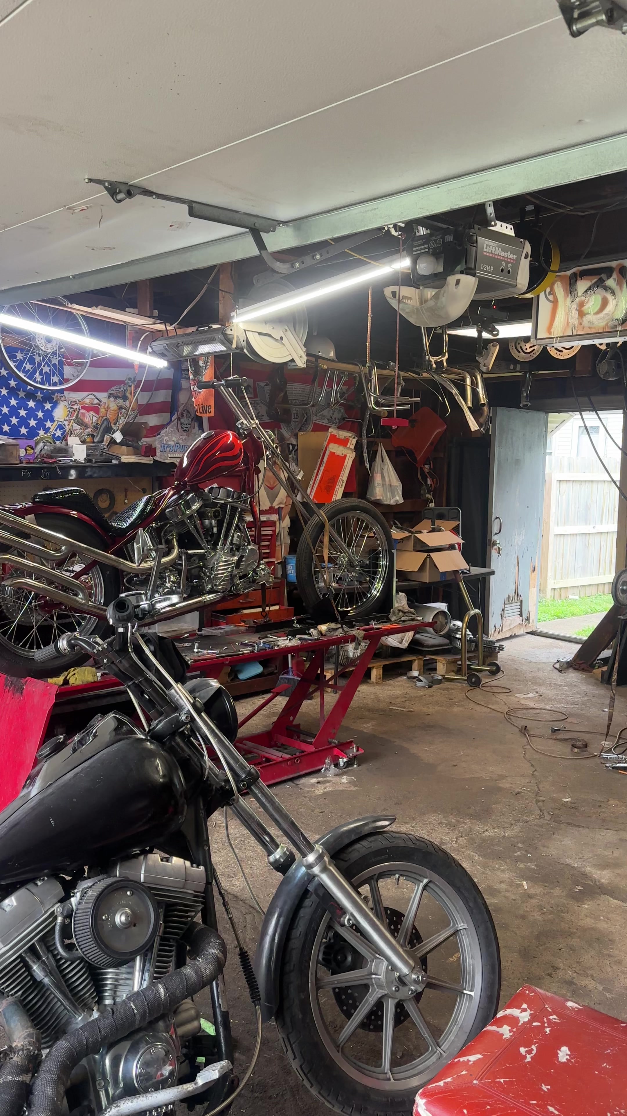 @Boneyard Gnat