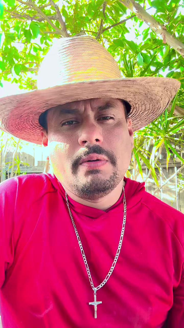 @Alexander _torres_🧠