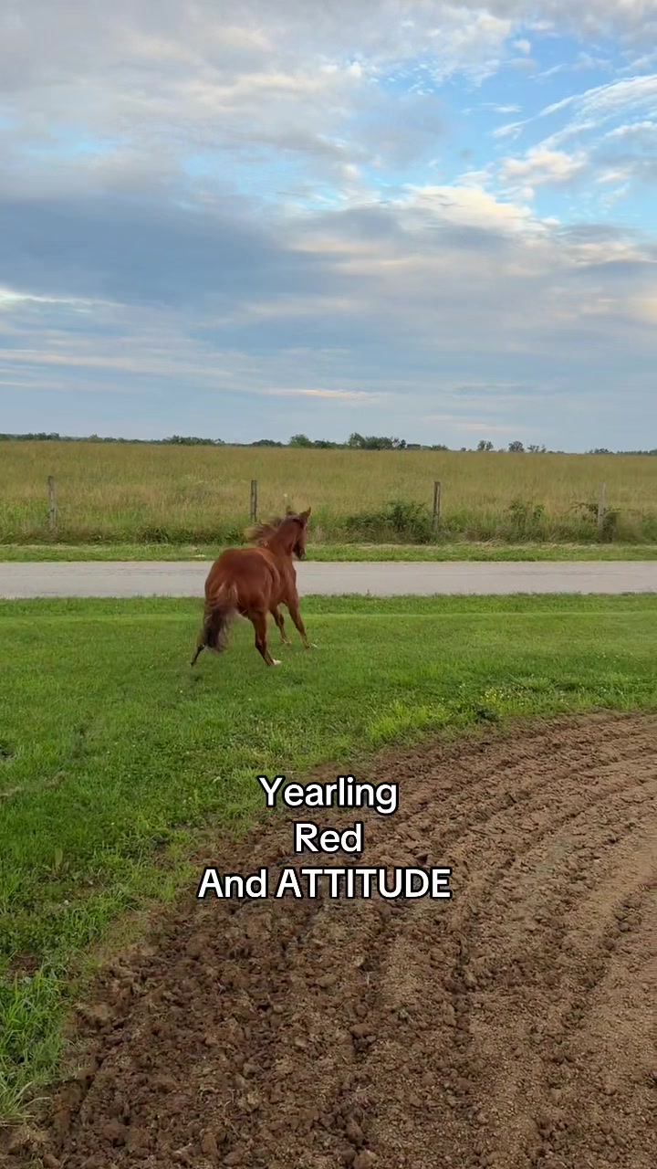 @Amber Morris