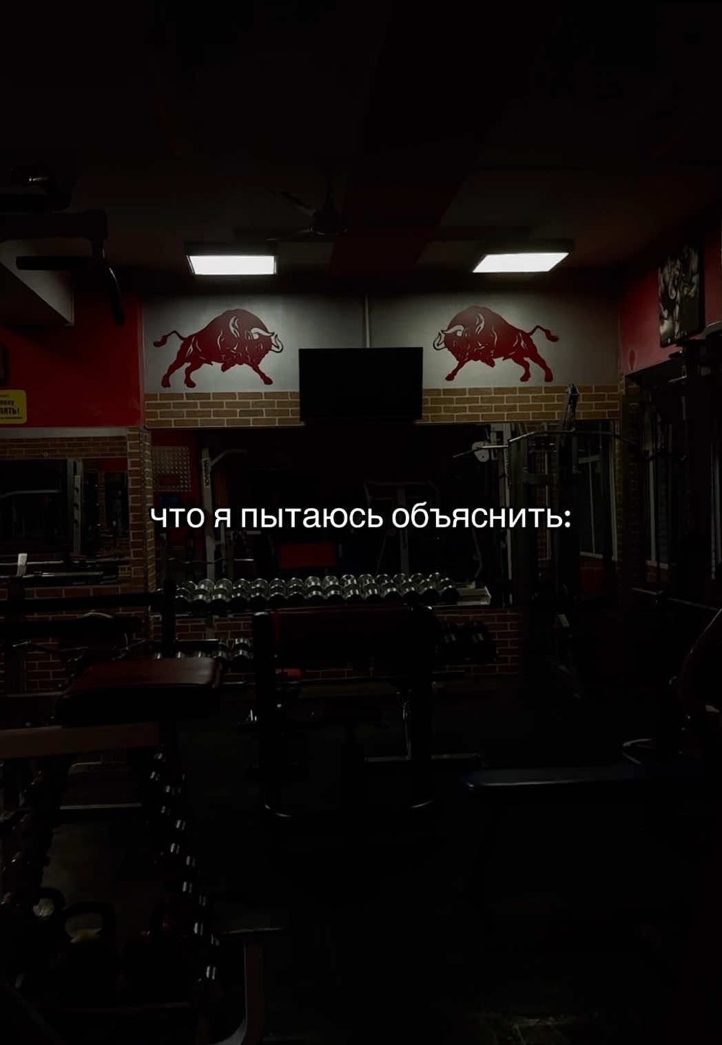 @s.avdeeva