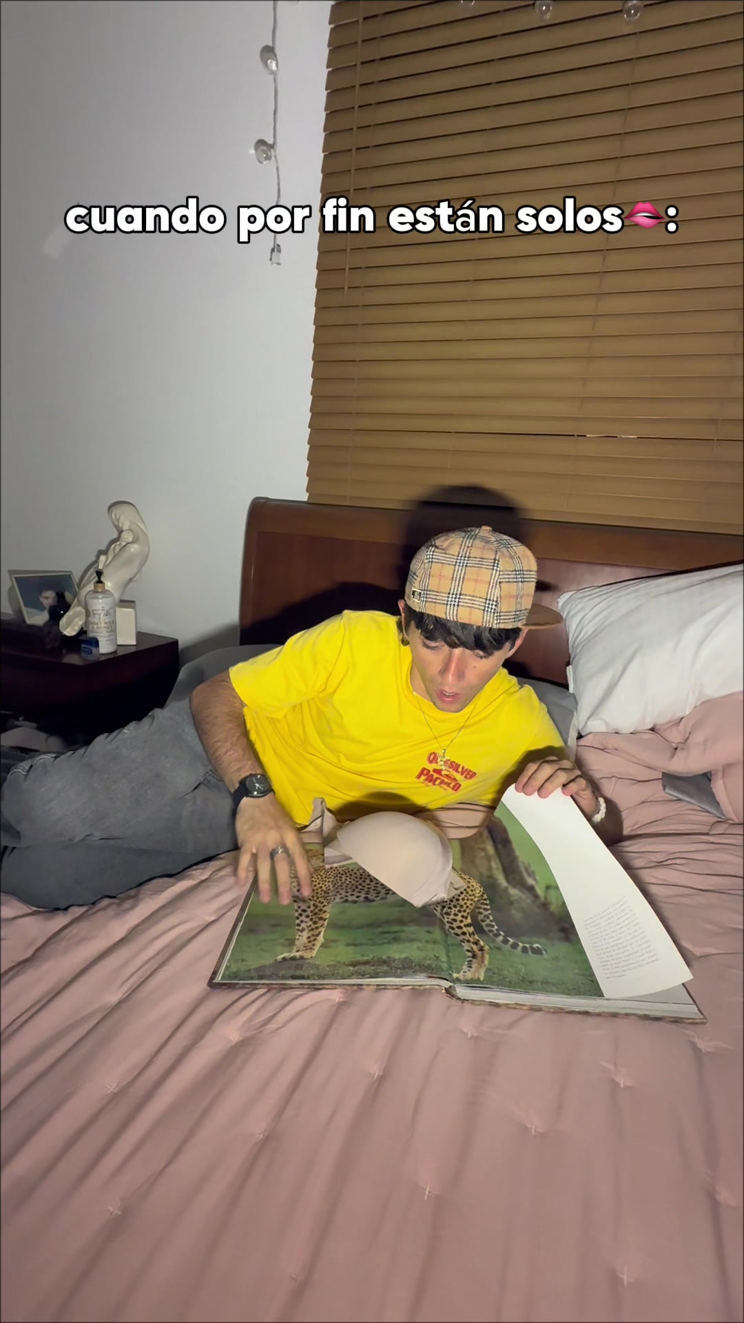 @sirmizael