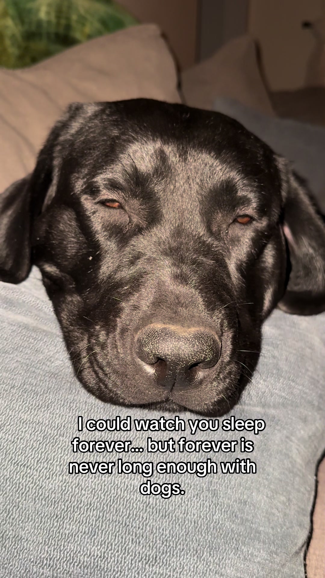 @DennisTheBlackLab
