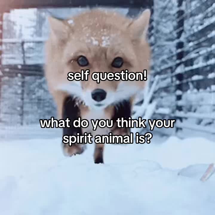 @𑣲𝓓.