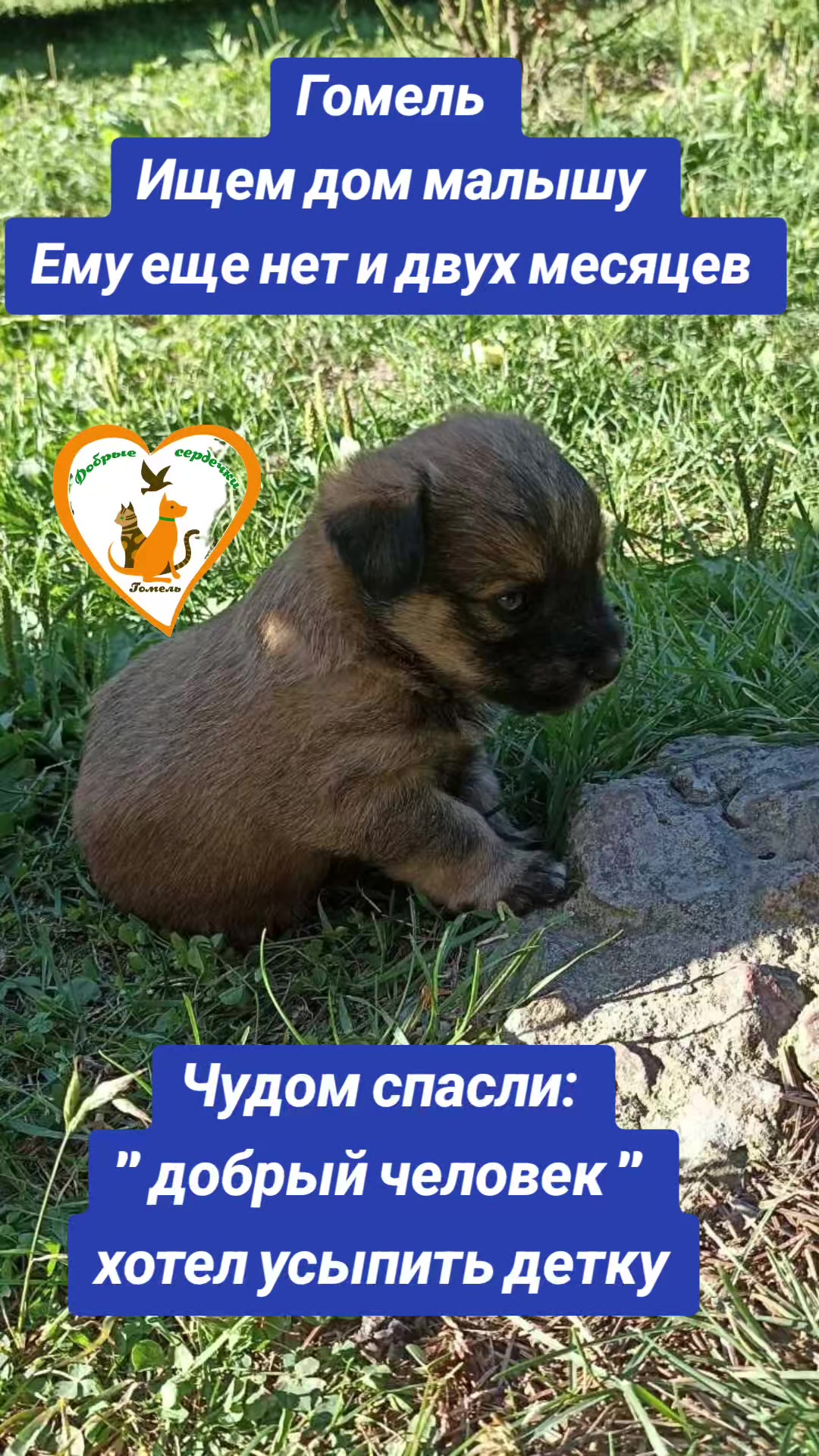 @Марина