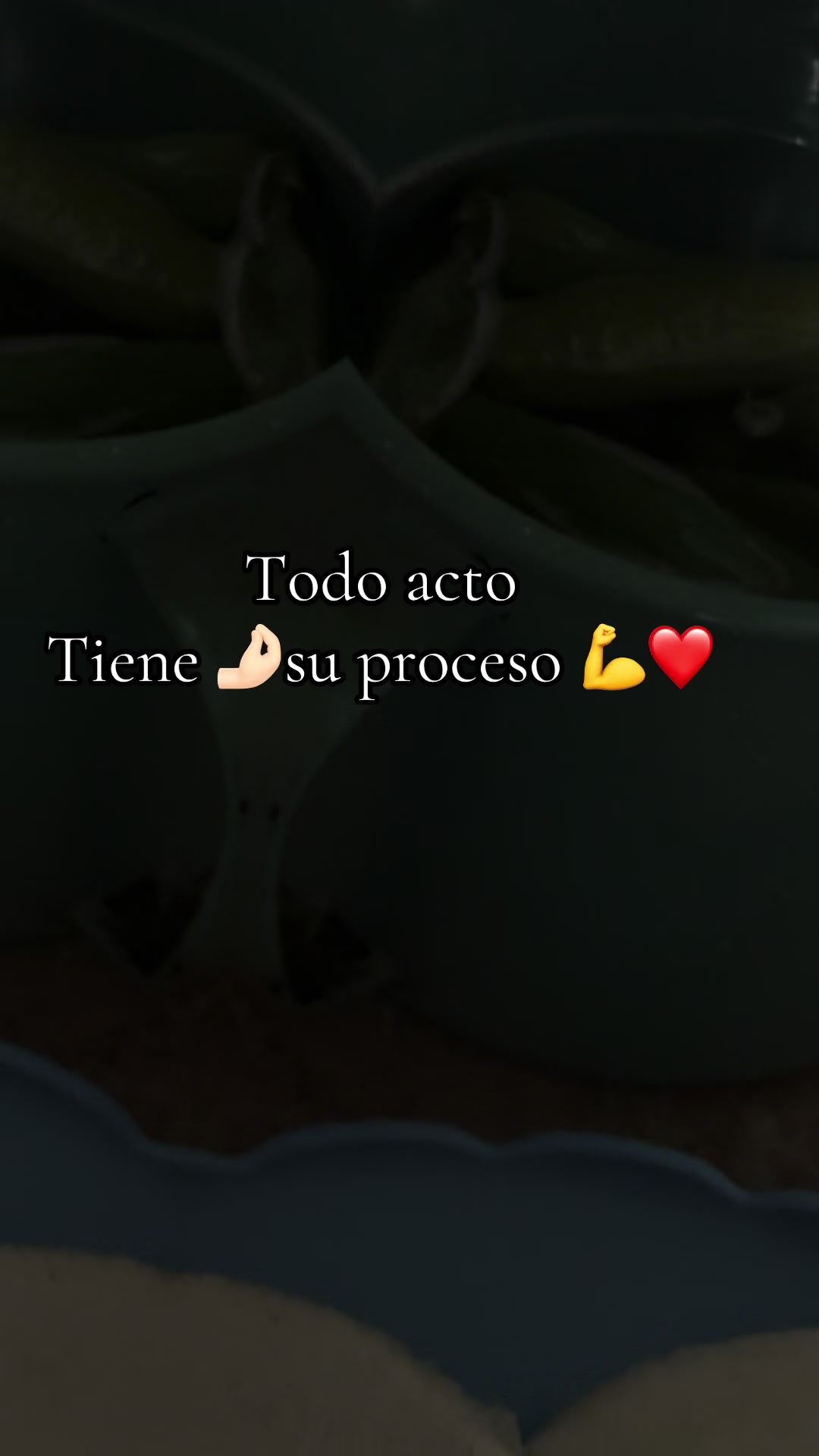 @Jose.Lopez