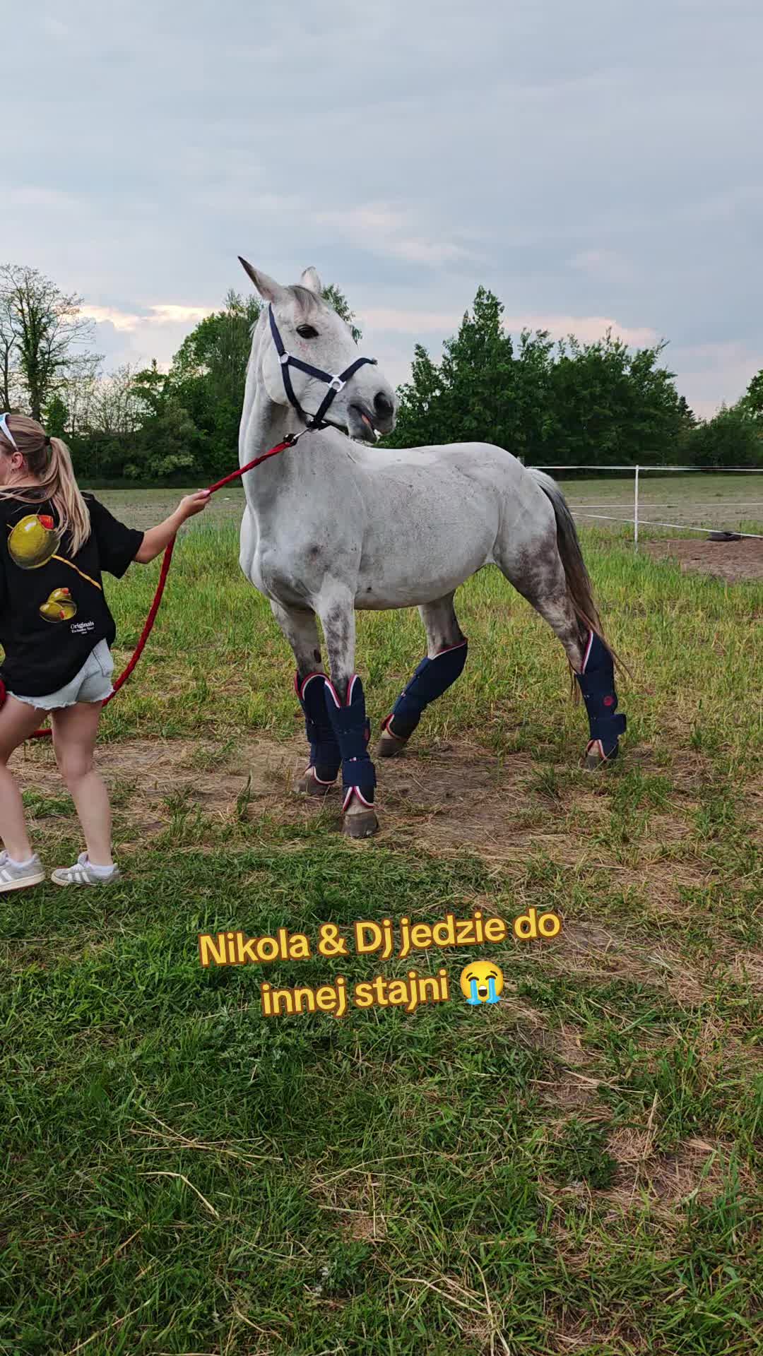 @Stajnia Pod Kasztanem 🇵🇱