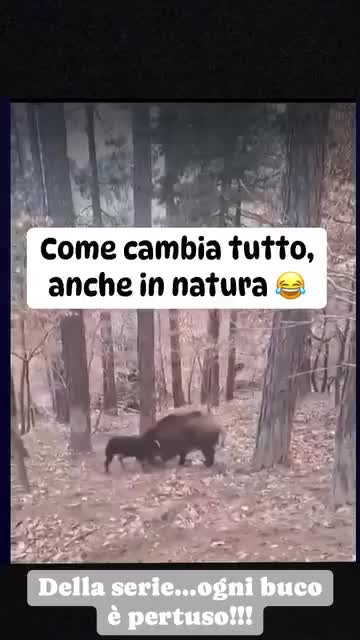 @Vivi&l’Asciavivere