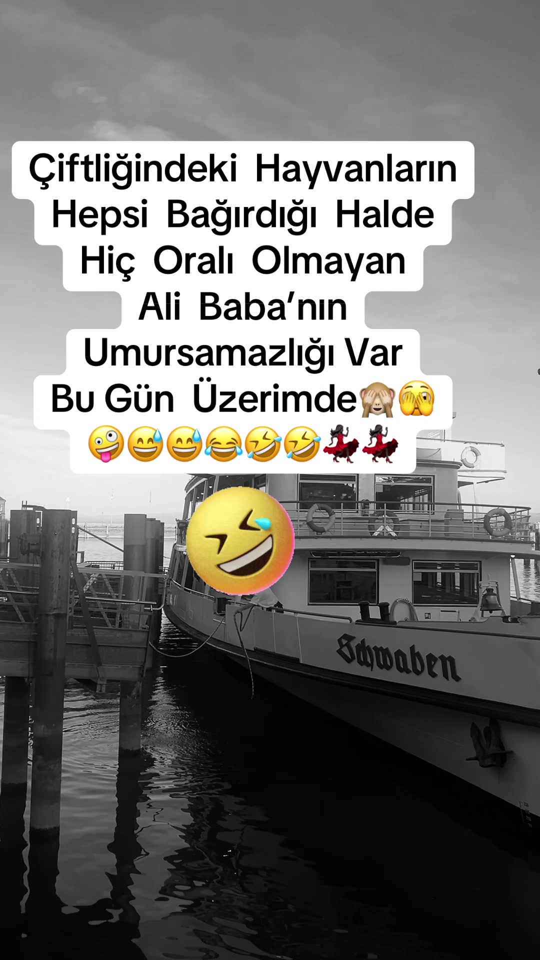 @✨🤍Ayliz_S🤍✨