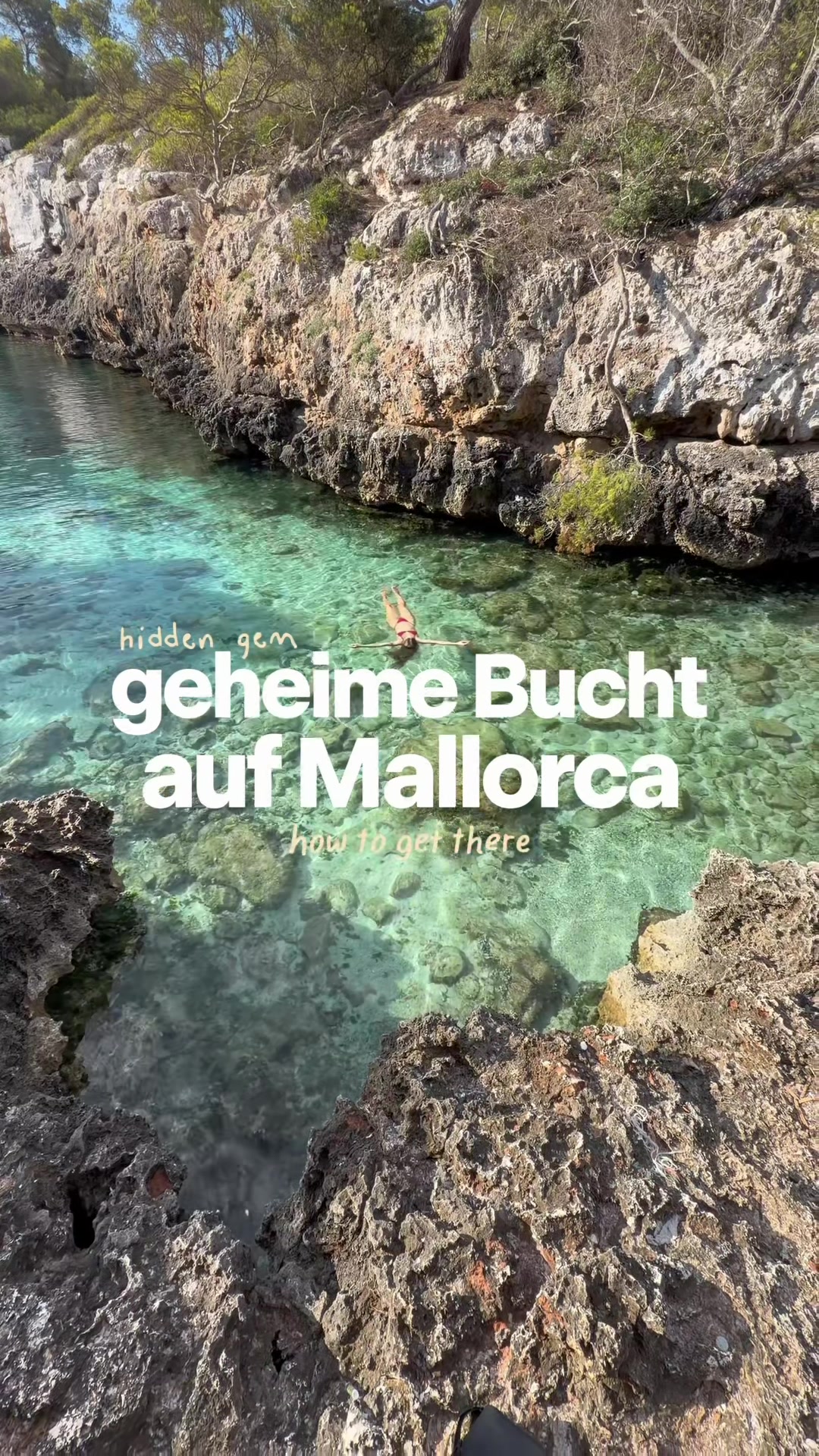 @Mineia | vegan travel