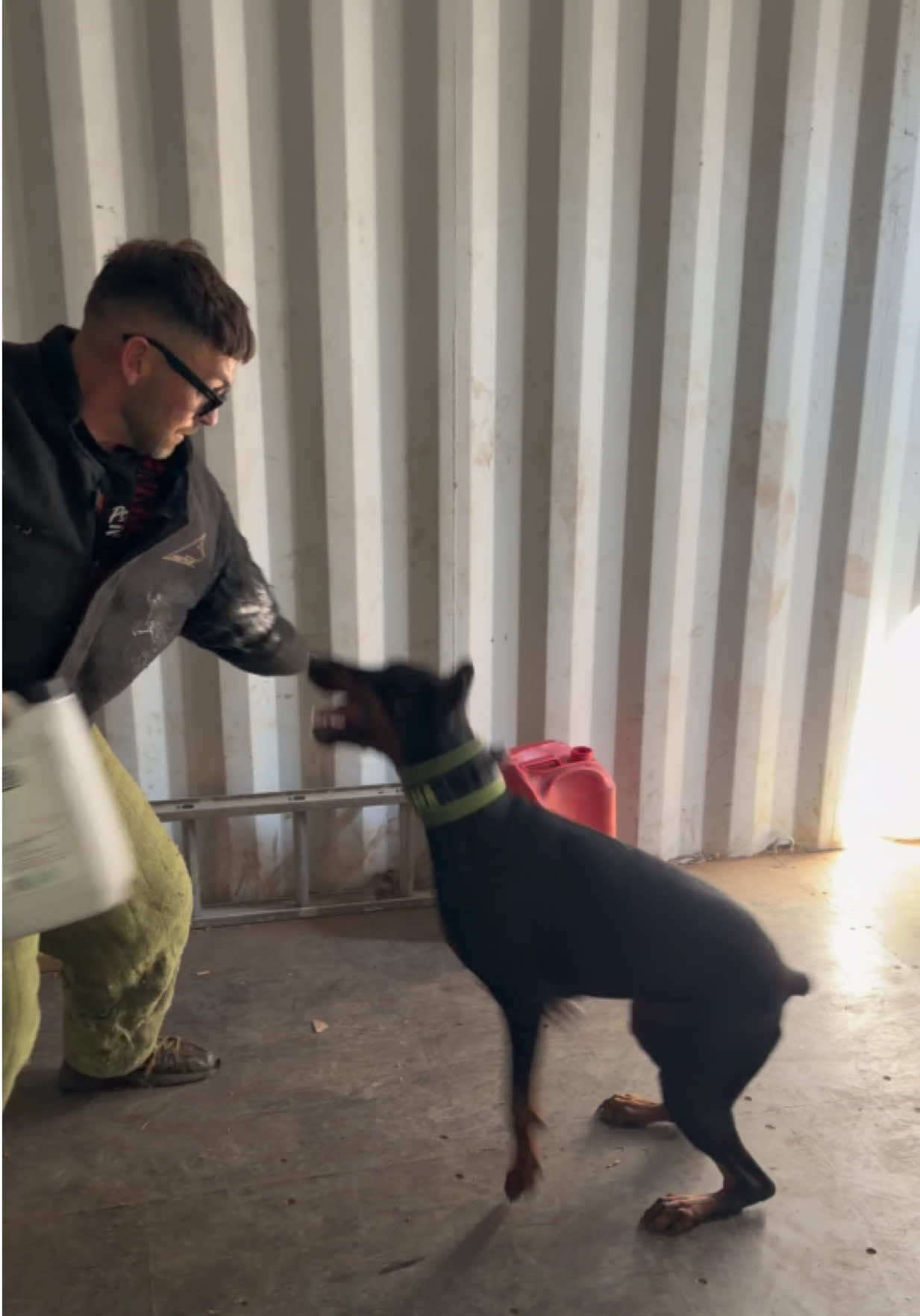 @protectiondobermanns
