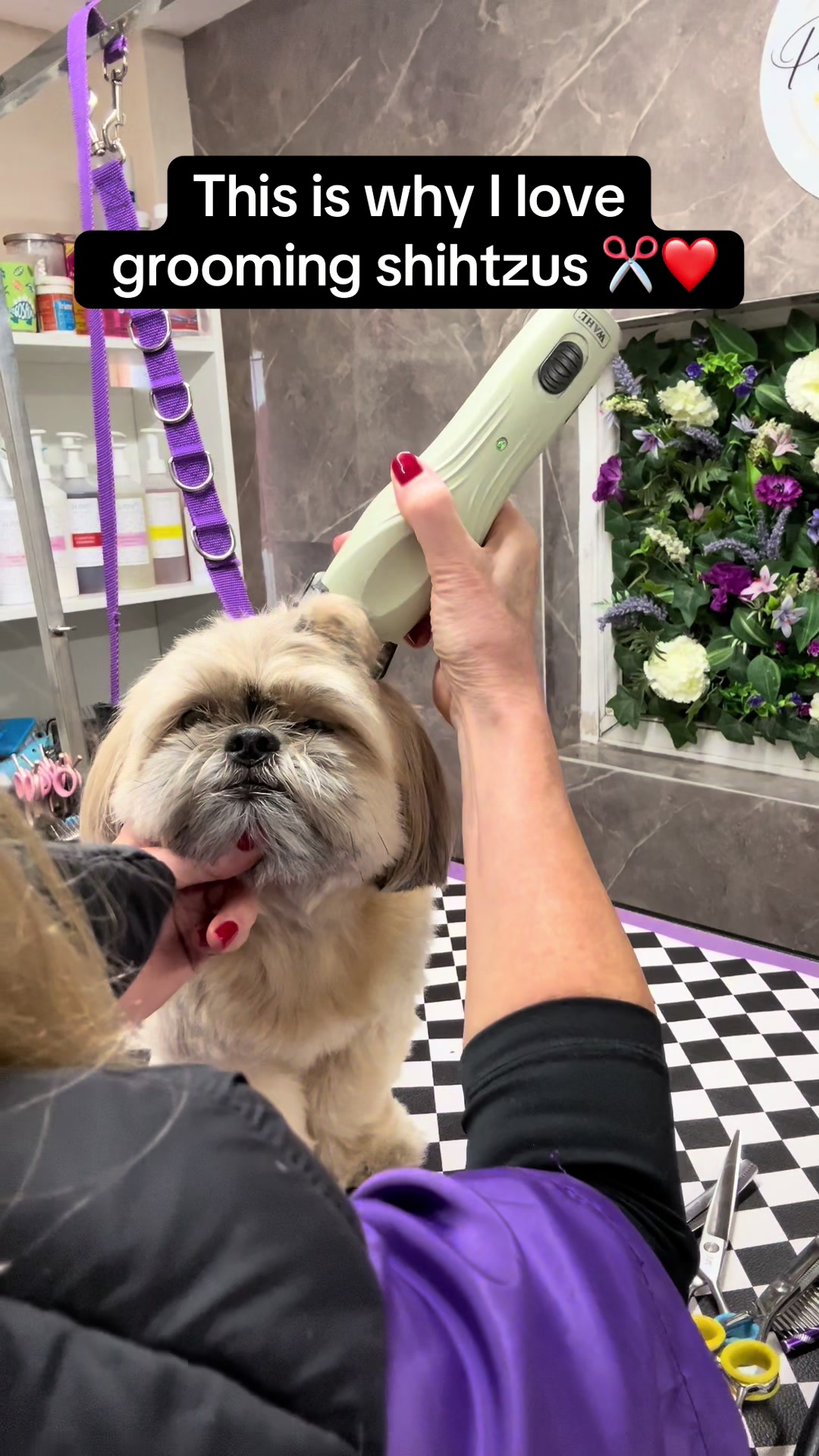 @Poochiepoosdoggrooming
