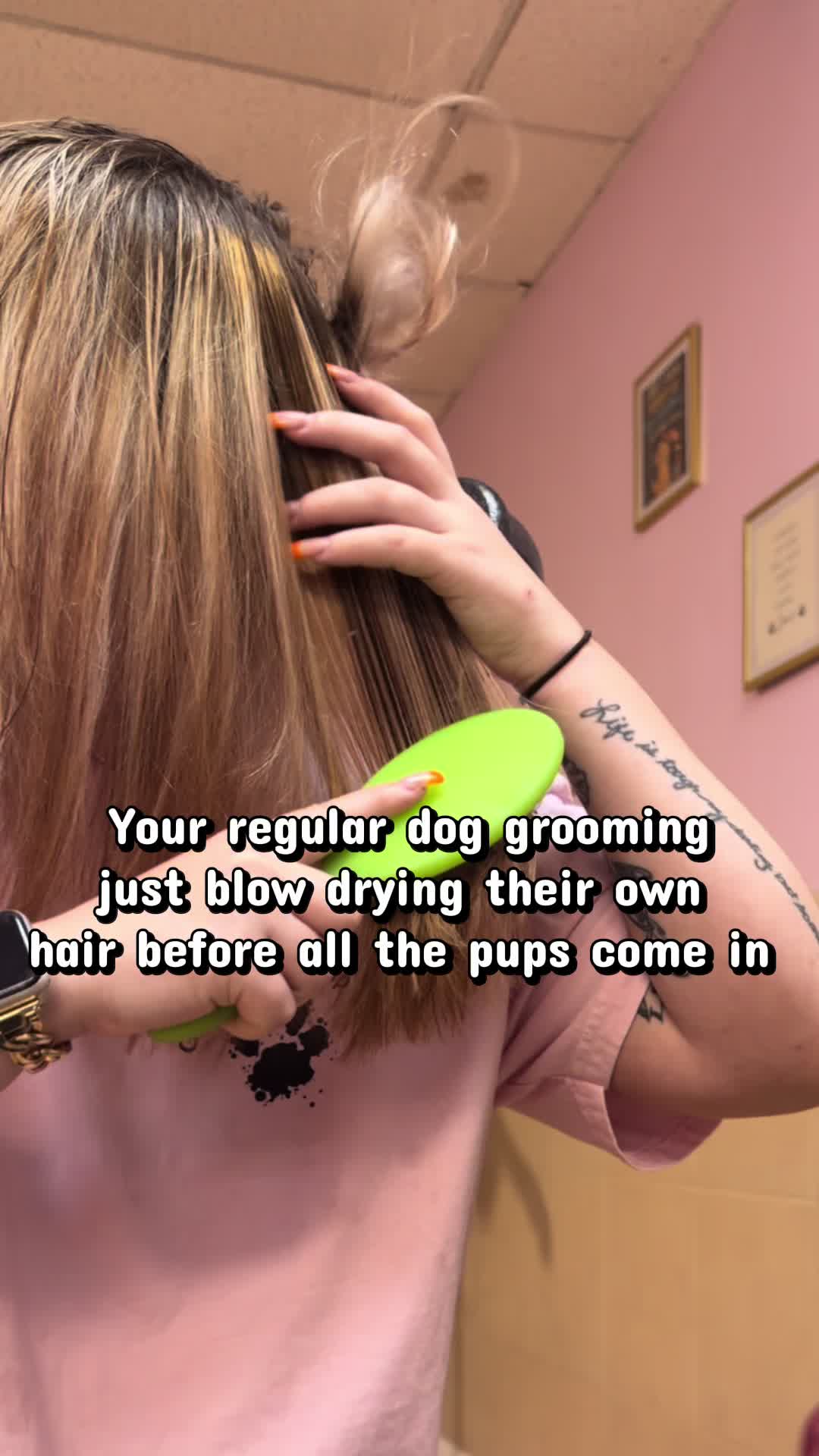 @Grooming By Tip Top