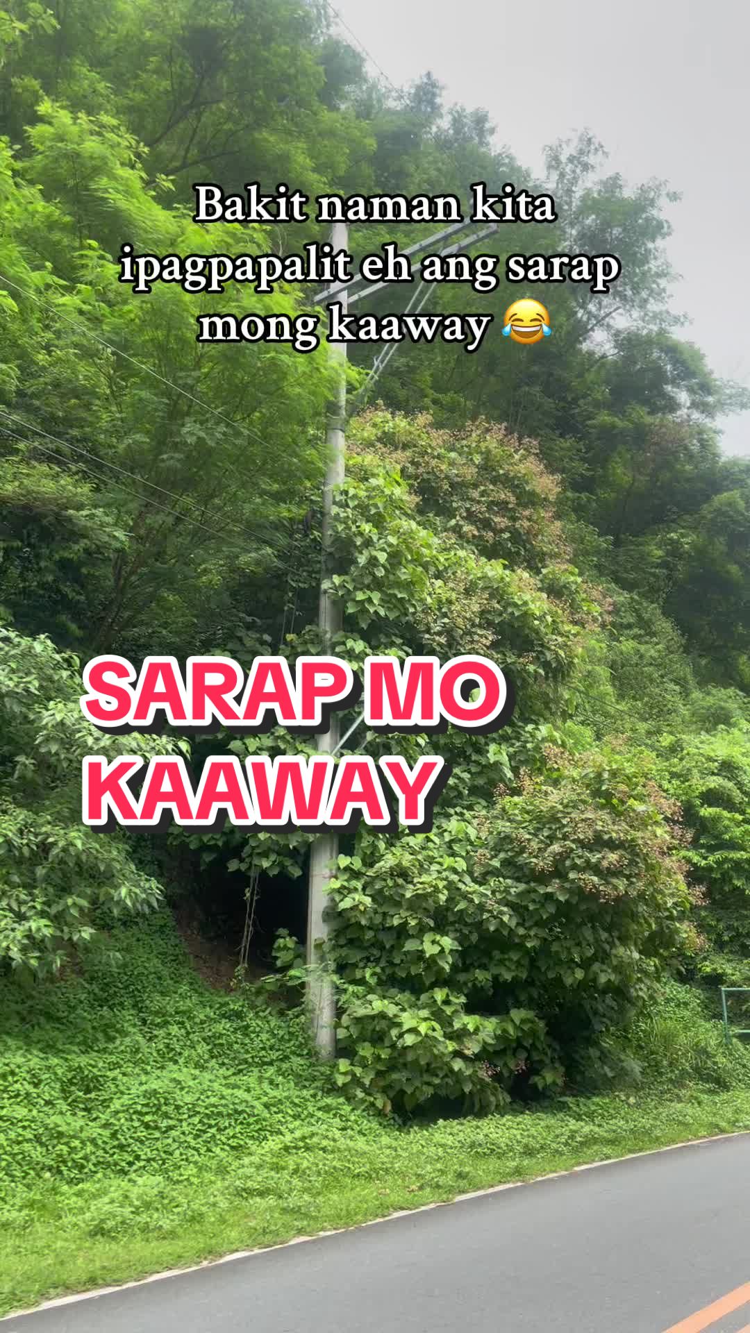 @RAYT 🛵