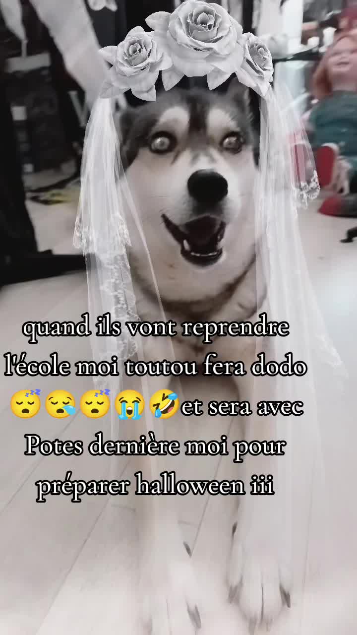 @werewolf 🐺dog de l'enfer➕👺😈