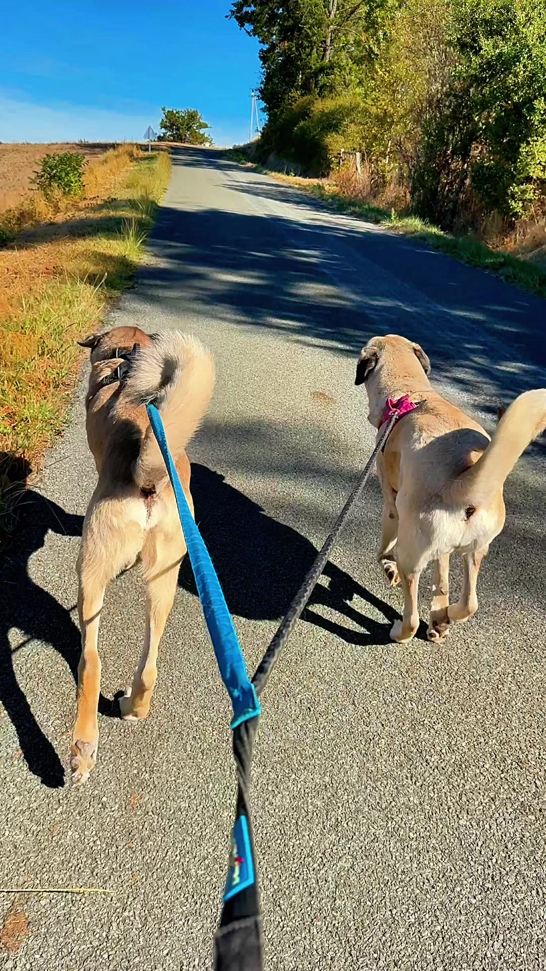 @Purekangal