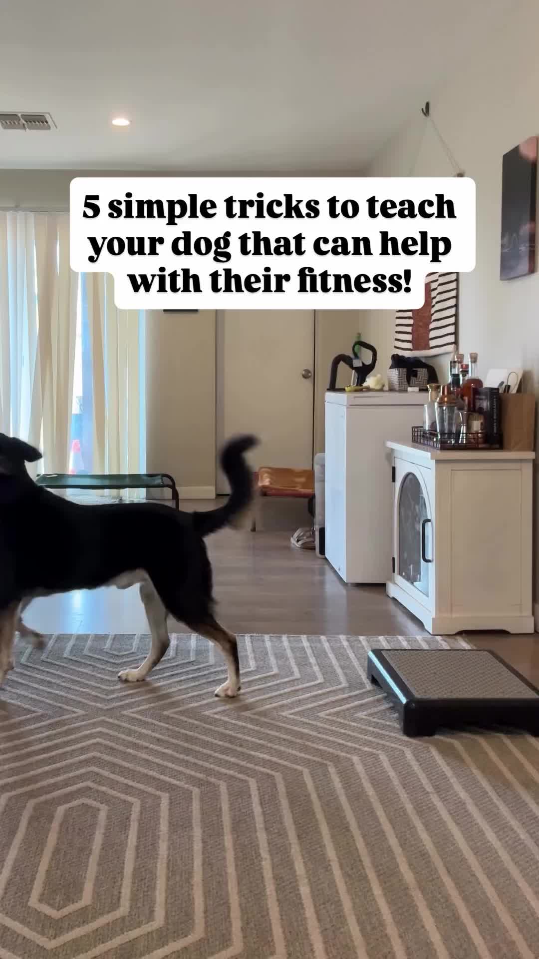 @Marissa | Kota & Aspen