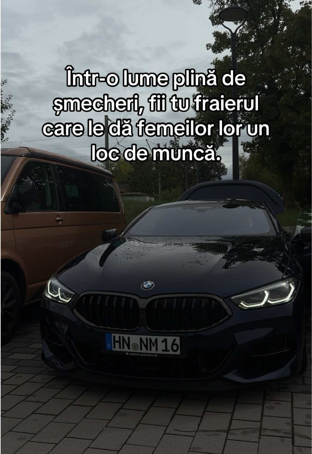@ɴᴀꜱᴛᴀꜱᴇ ᴍᴀᴅᴀʟɪɴ ¹¹¹⁶