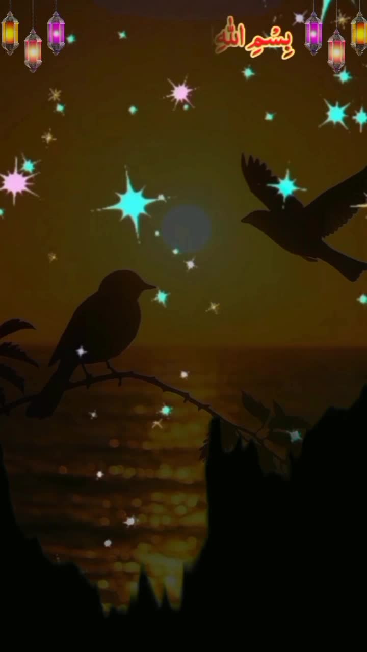 @nadeem_writes656