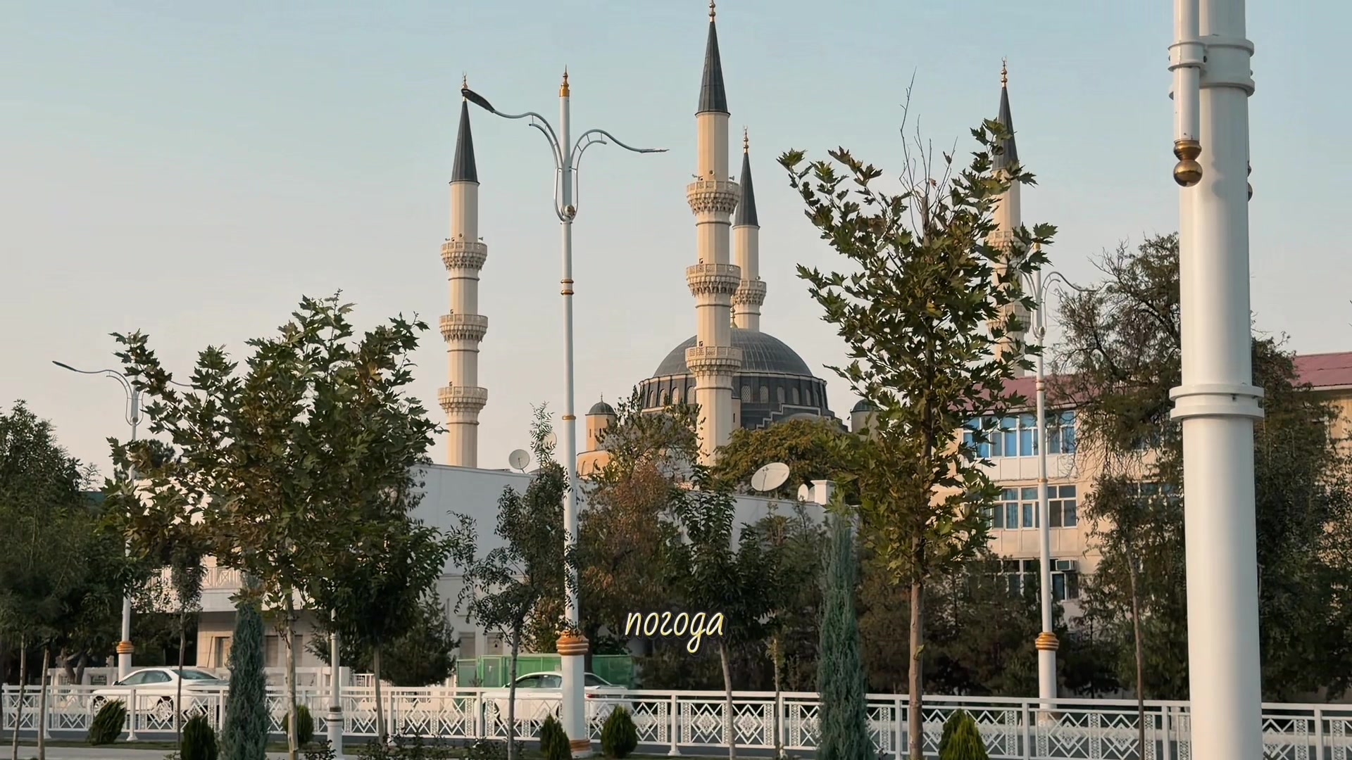 @pizza__n1