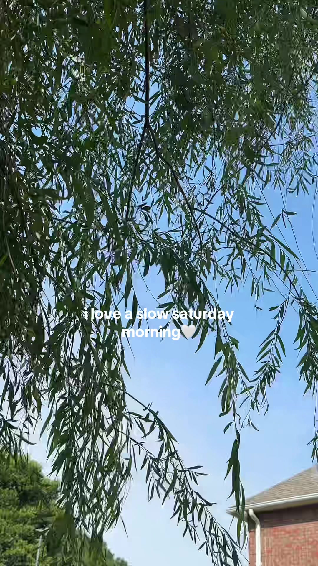 @avery25556
