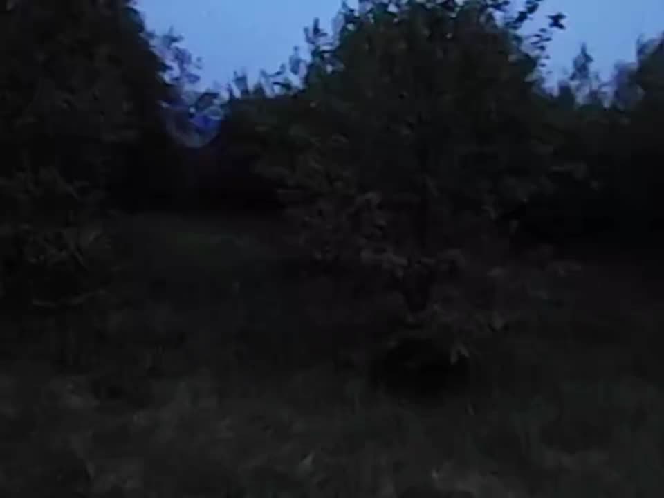 @sᴋʏᴄʟᴀʀᴇɴ𖣂