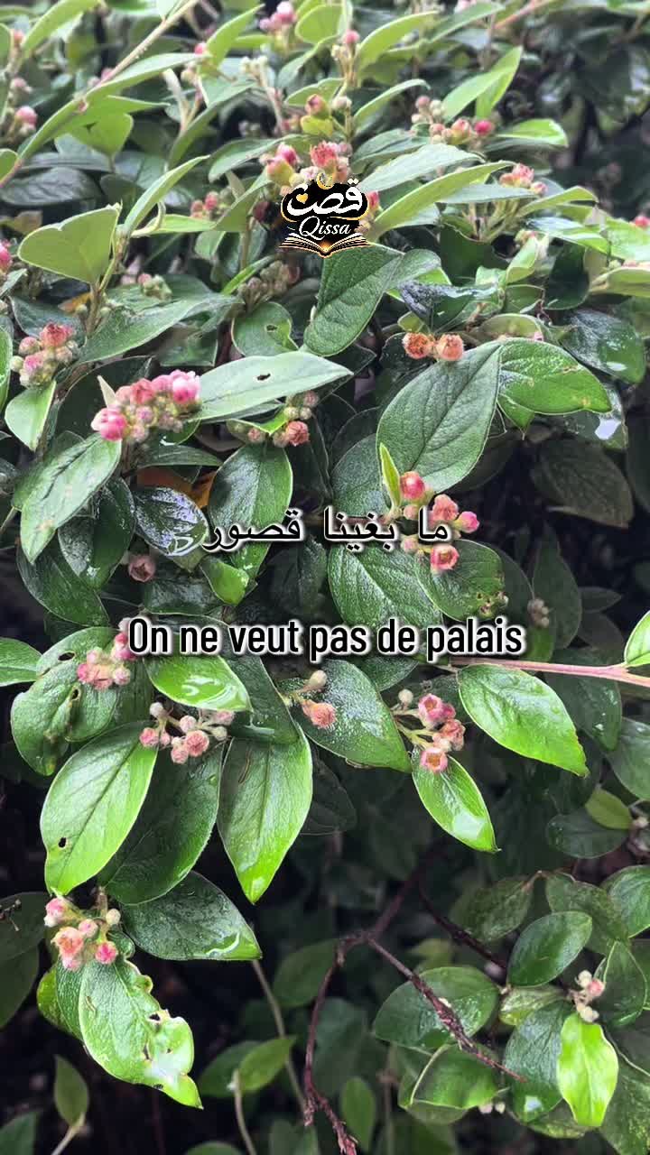 @Lallamaha💕