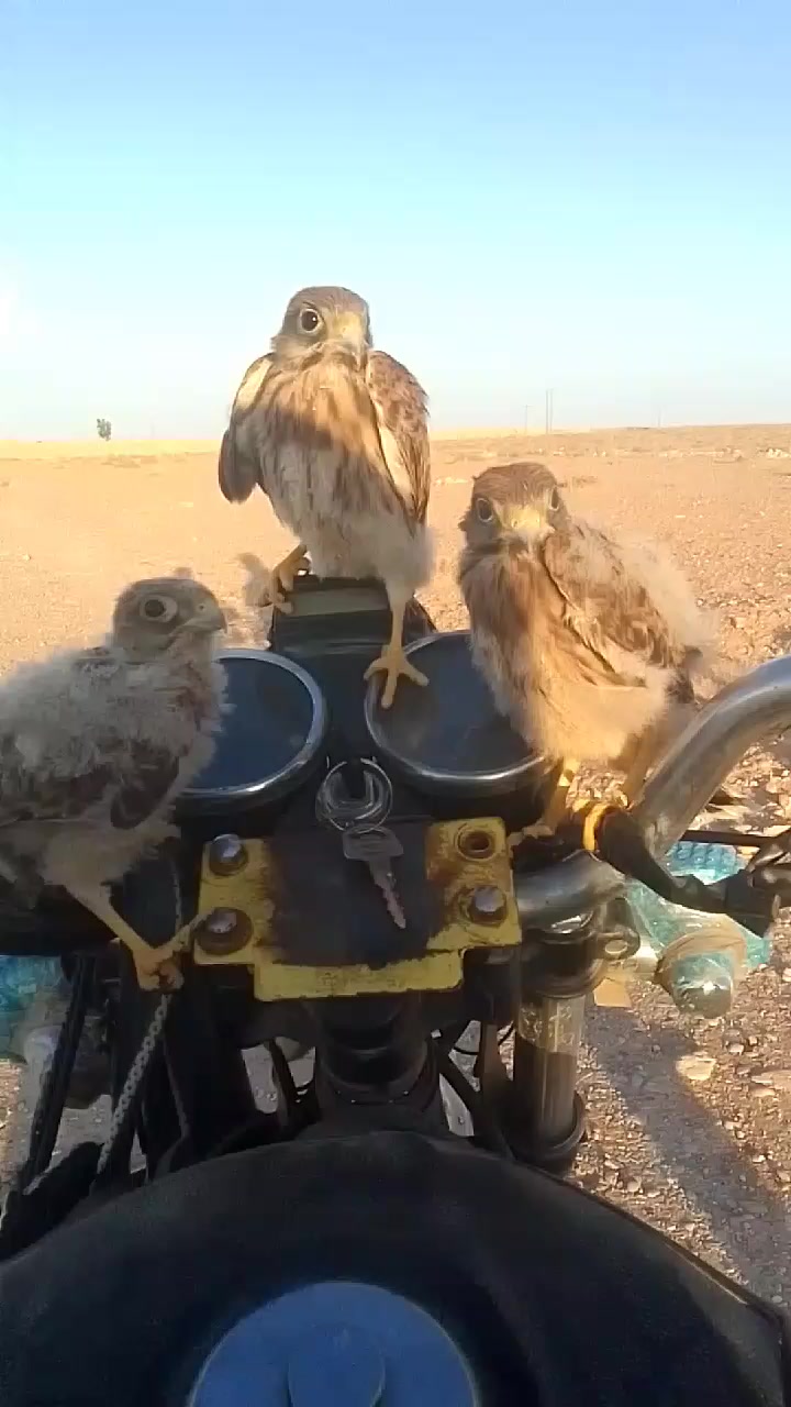 @Abdul Karim