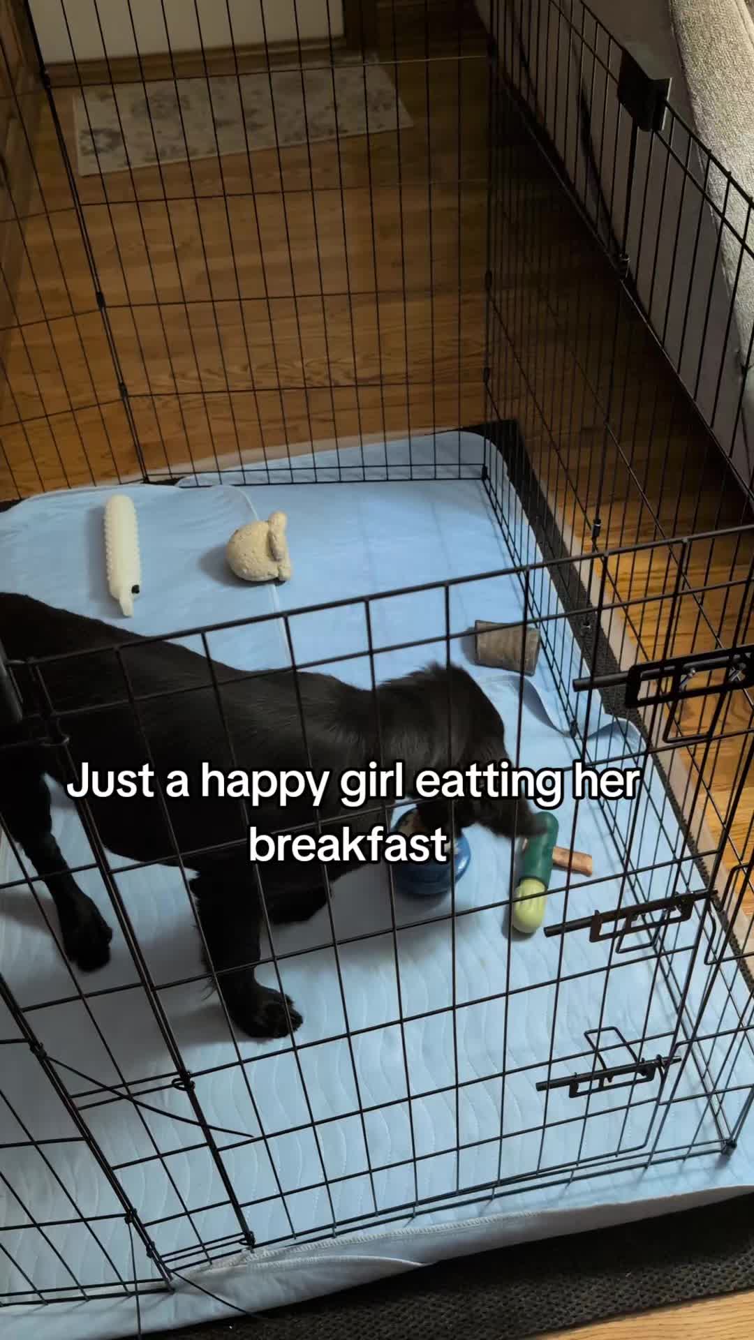 @julia