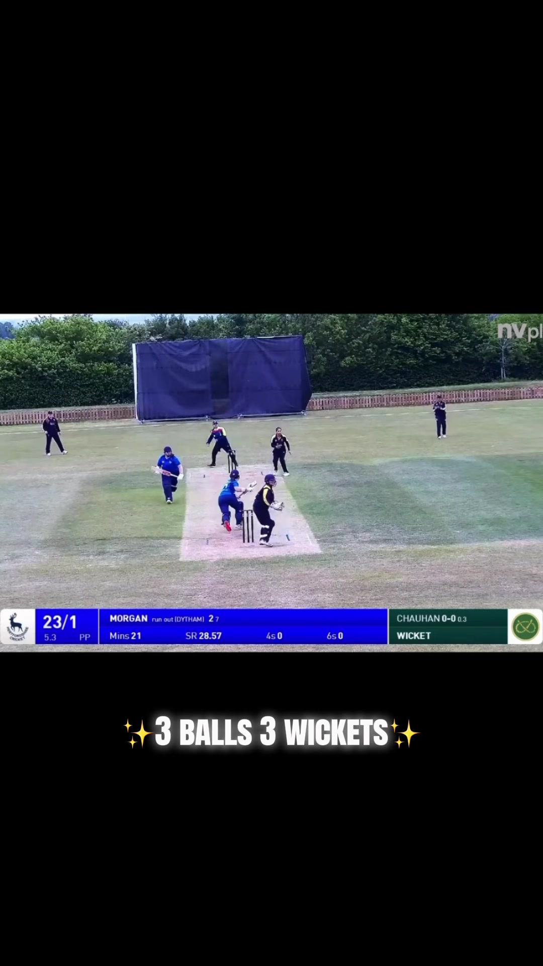@ac.cricket